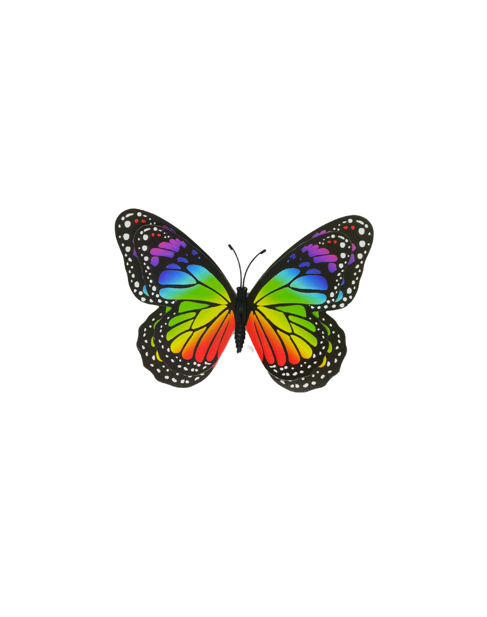 3-D Butterfly Magnets