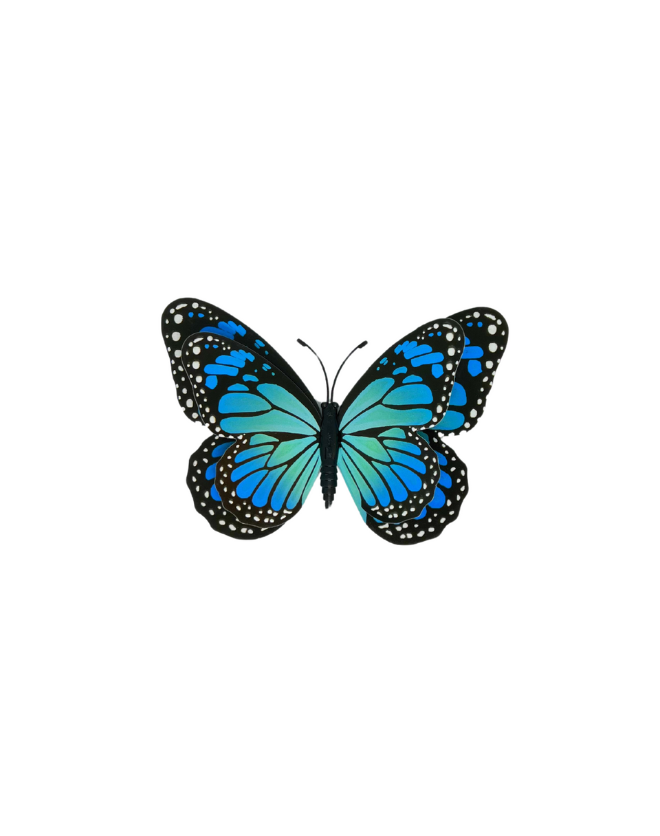 3-D Butterfly Magnets