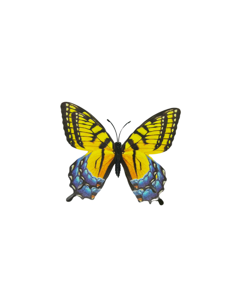 3-D Butterfly Magnets