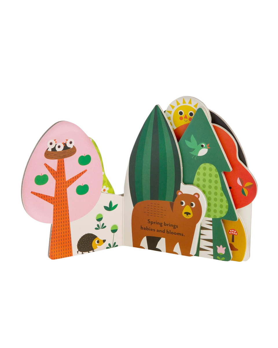 A Forest's Seasons Board Book