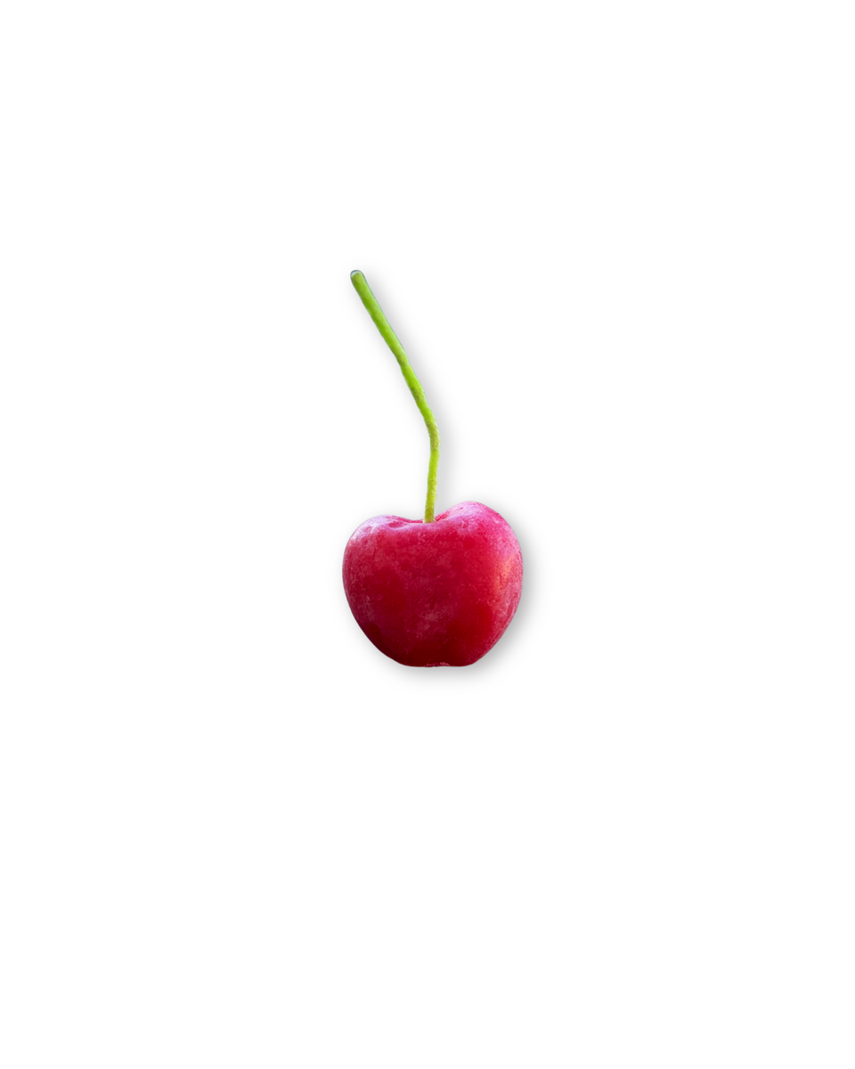 Fruit Candle