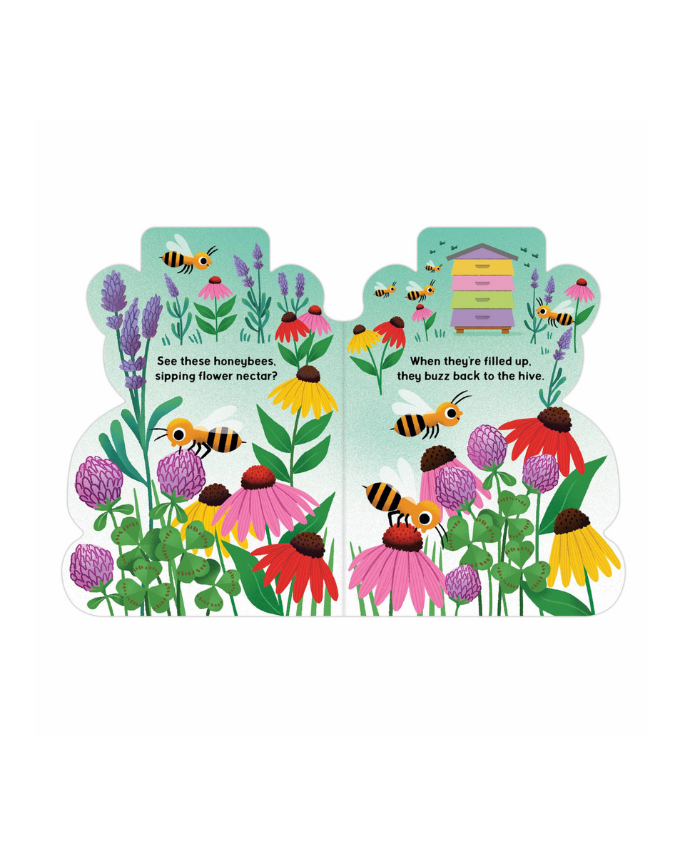 Honey Bear Hive Board Book
