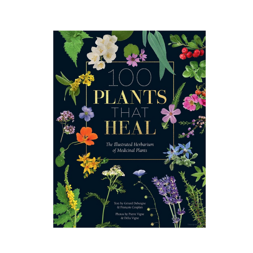 100 Plants That Heal: The Illustrated Herbarium of Medicinal Plants