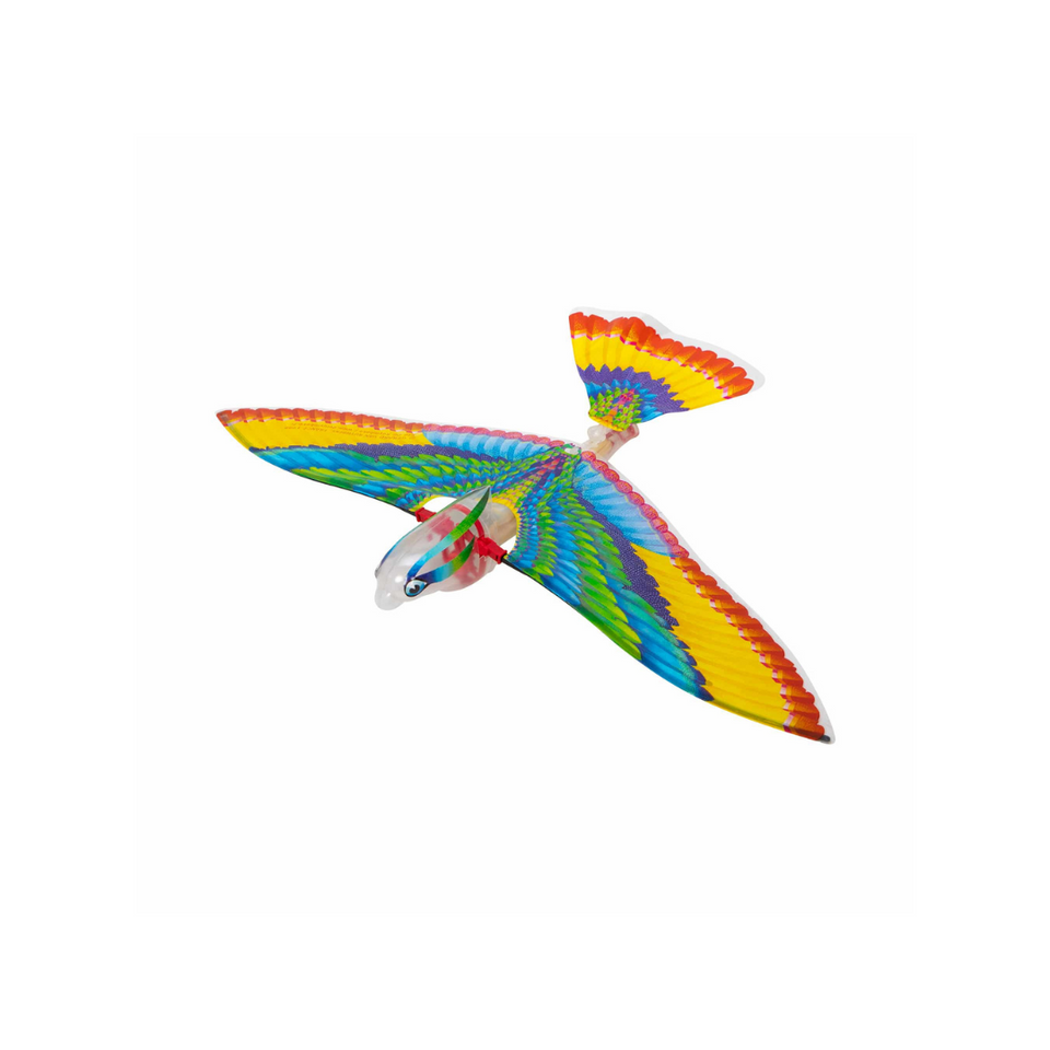 Tim Bird