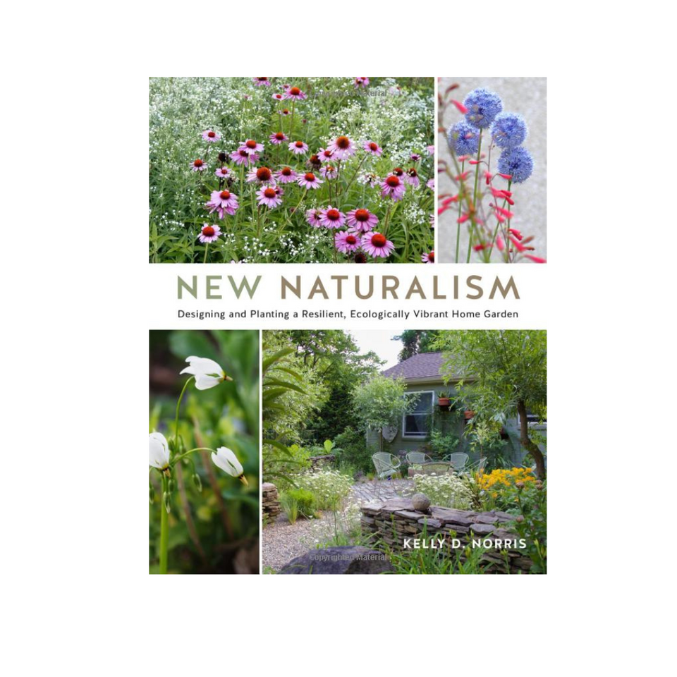New Naturalism: Designing and Planting a Resilient, Ecologically Vibrant Home Garden