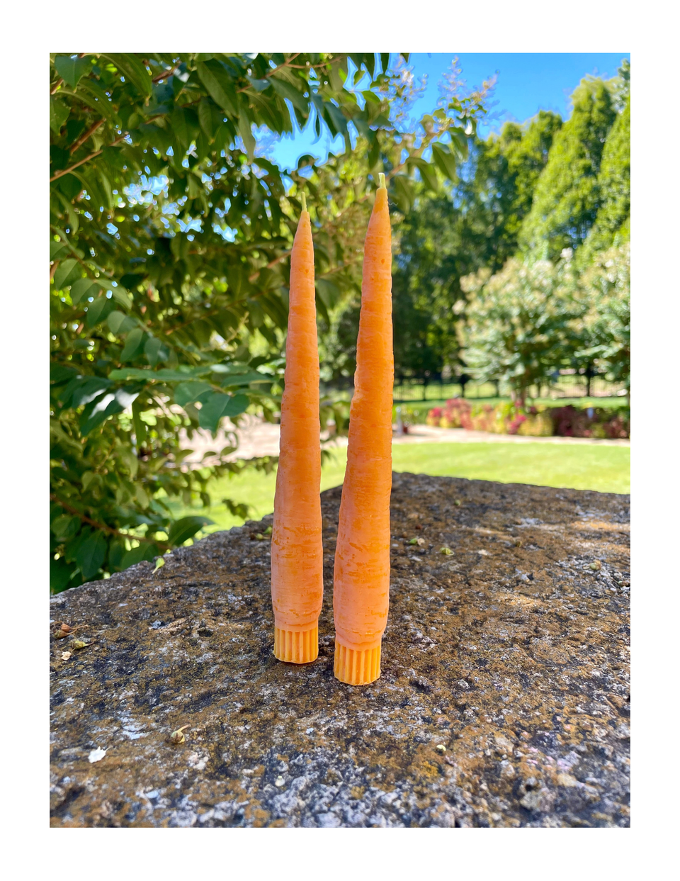 Vegetable Taper Beeswax Candles