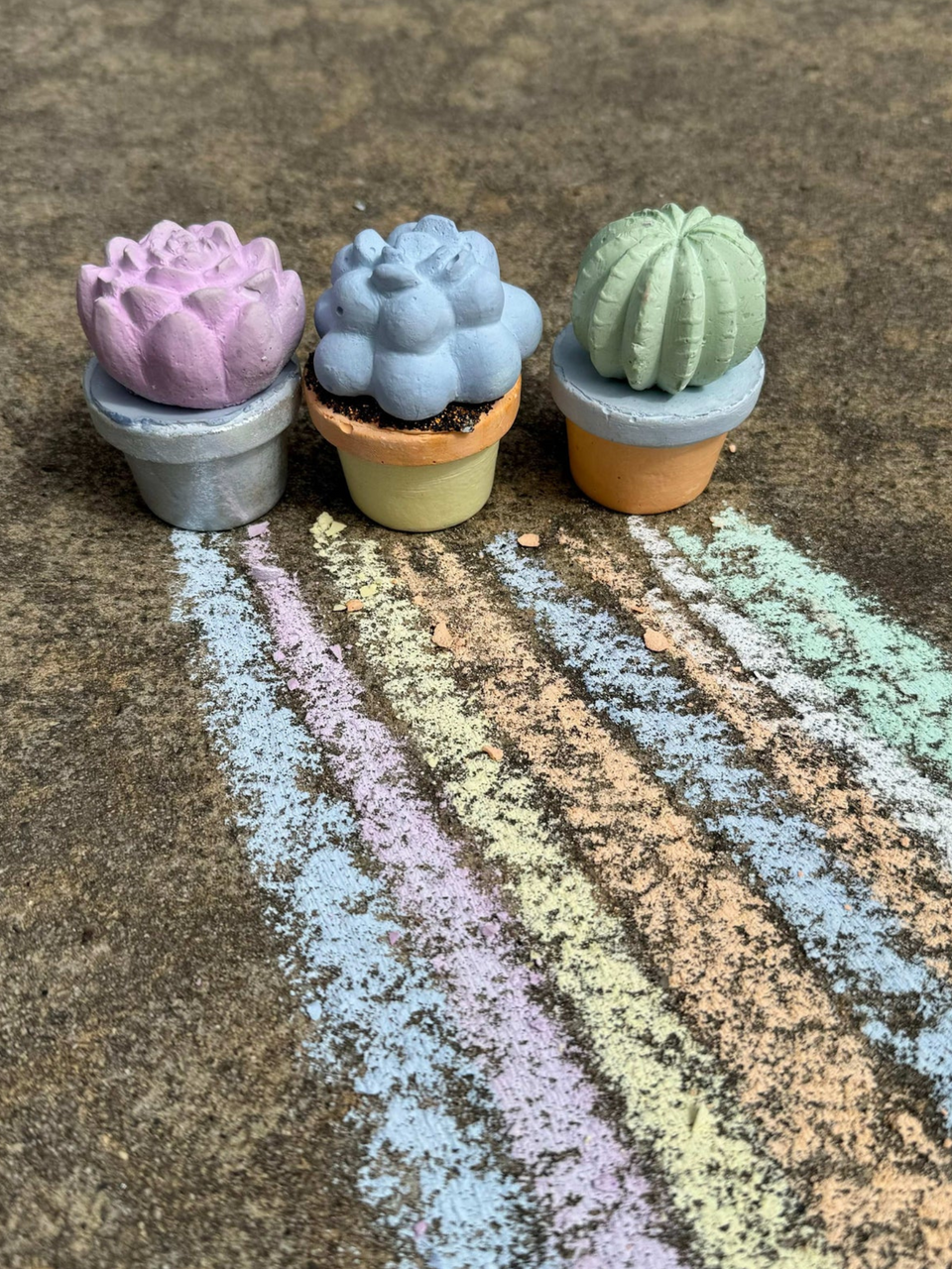 6-pc. Succulents Handmade Sidewalk Chalk