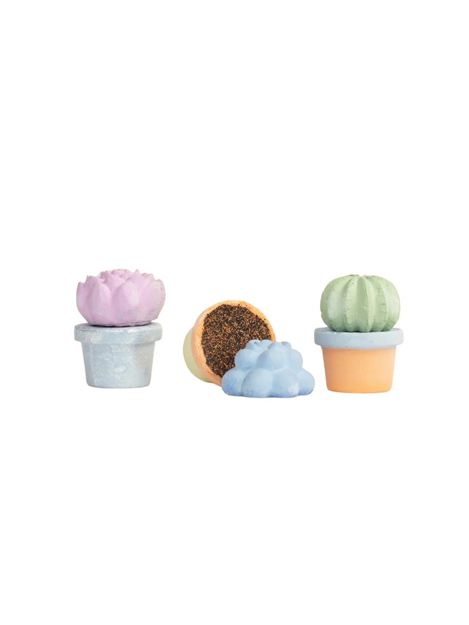 6-pc. Succulents Handmade Sidewalk Chalk