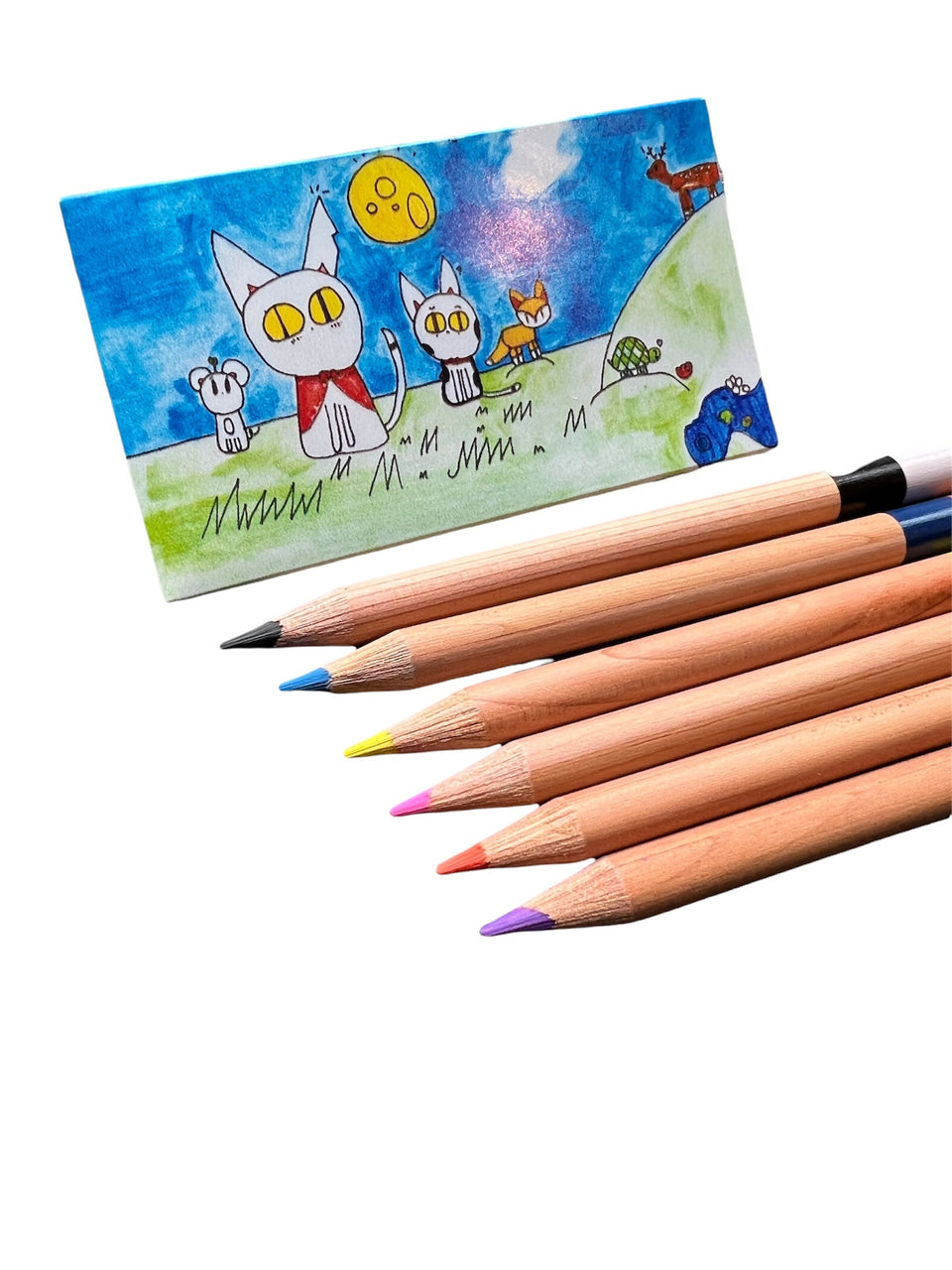 Philbrook 6-pc. Dual Sided Color Pencil Set